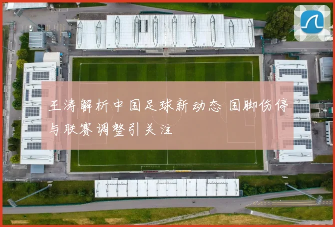 王涛解析中国足球新动态 国脚伤停与联赛调整引关注