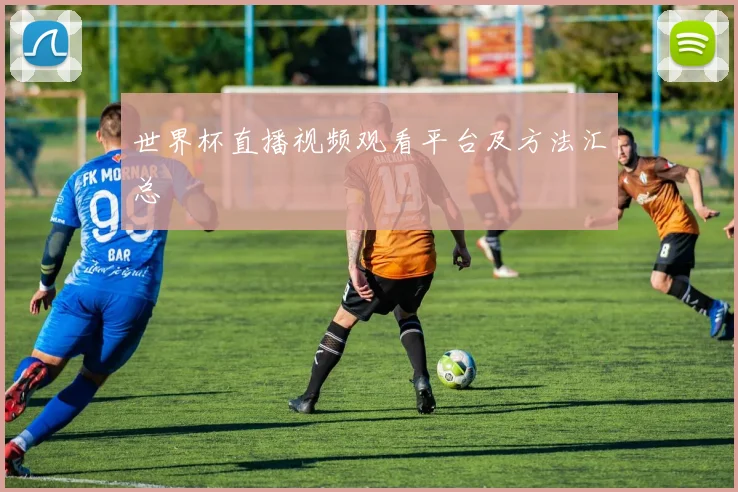 世界杯直播视频观看平台及方法汇总