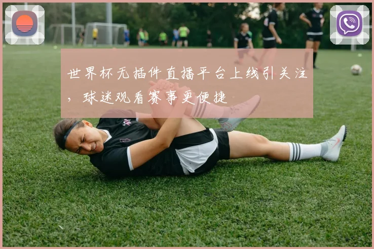 世界杯无插件直播平台上线引关注,球迷观看赛事更便捷